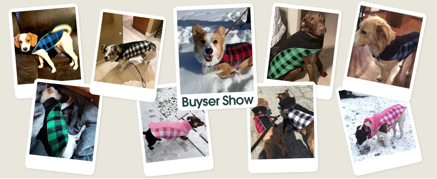Dog Winter Coat — Reversible Waterproof Dog Jacket with Reflective Strip — product details