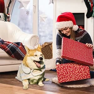 Dog Winter Jacket — Warm Windproof Dog Sweaters for Small Dogs — Dogs are our best friends!