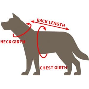 Dog Winter Jacket — Warm Windproof Dog Sweaters for Small Dogs — 6 Sizes Available for your Choice