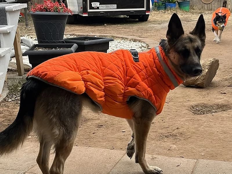 Dog Coat Warm Dog Winter Coat Waterproof Dogs Jacket with Harness — product details