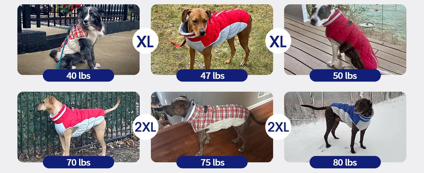 Dog Coat for Medium Dogs — Fleece Dog Winter Jacket with Harness — product details