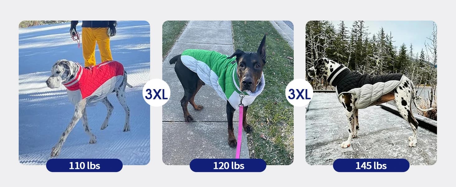 Dog Coat for Medium Dogs — Fleece Dog Winter Jacket with Harness — product details