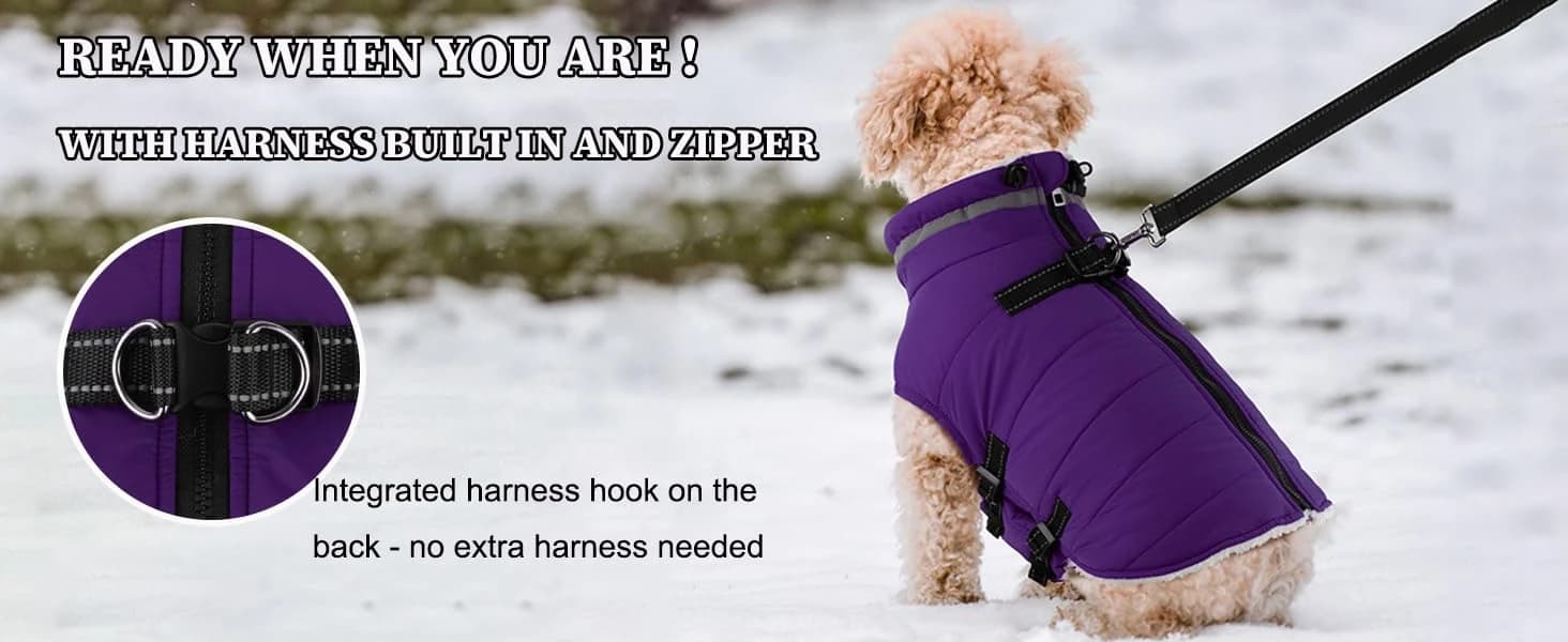 Dog Winter Coat with Harness — product details