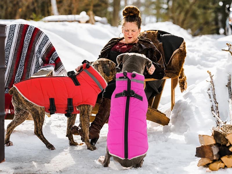 Dog Winter Coat with Harness — MORE THAN A WINTER COAT