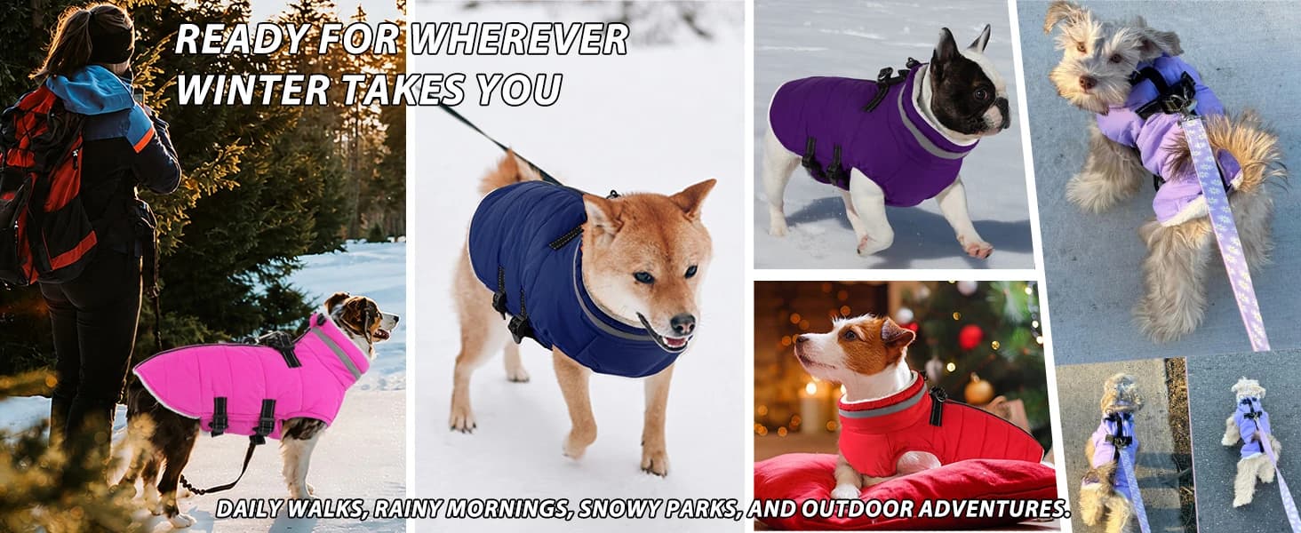 Dog Winter Coat with Harness — product details