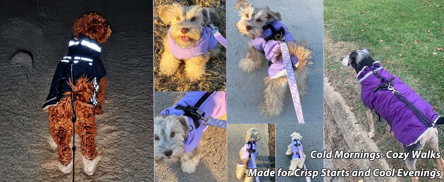Dog Winter Coat with Harness — product details