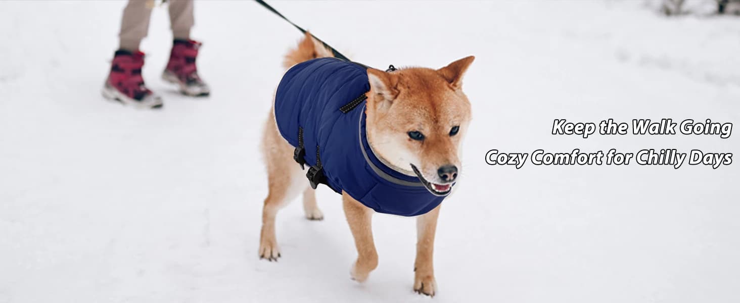 Dog Winter Coat with Harness — product details