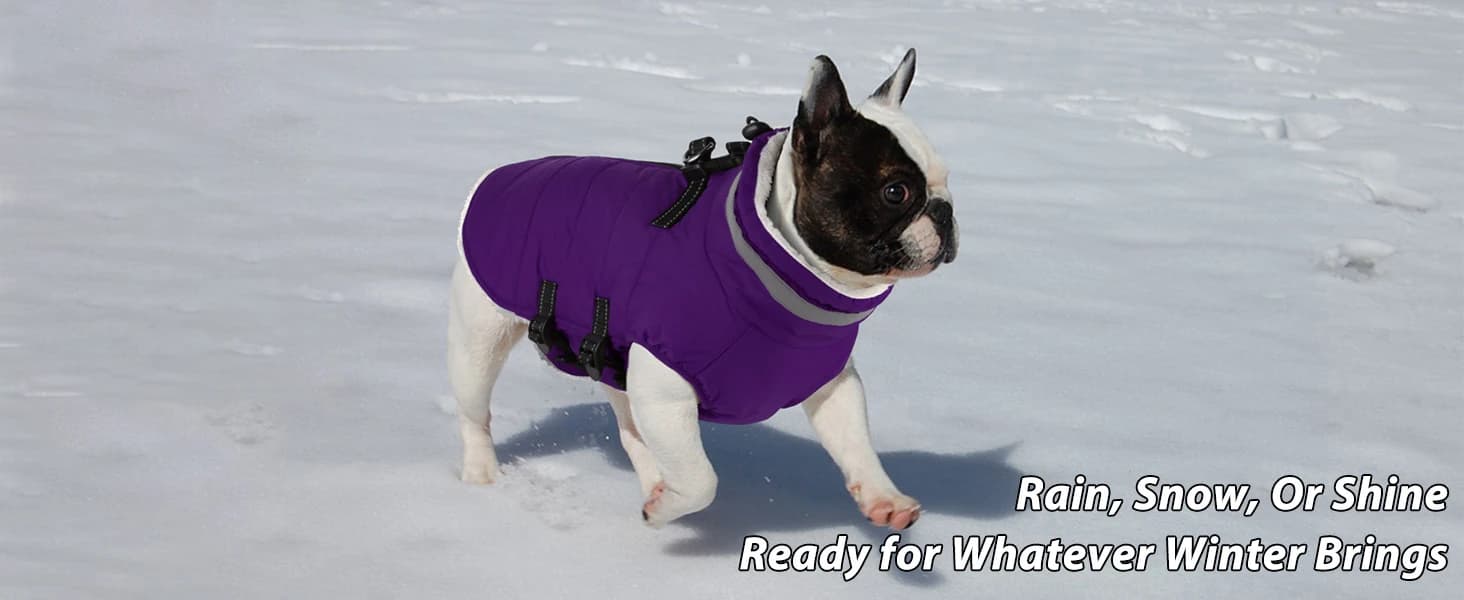 Dog Winter Coat with Harness — product details