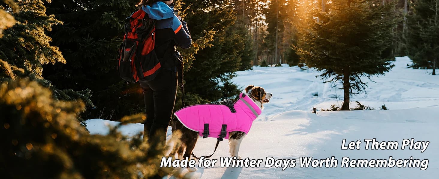 Dog Winter Coat with Harness — product details