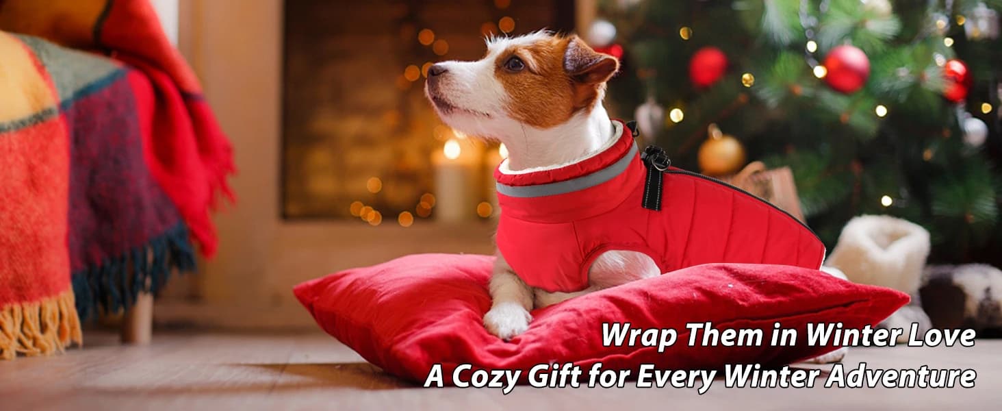 Dog Winter Coat with Harness — product details