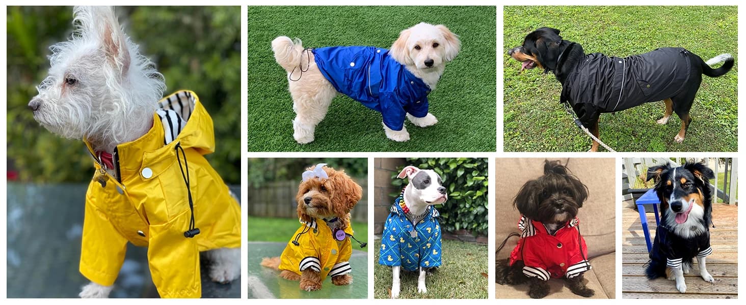 Dog Zip Up Raincoat with Reflective Buttons — product details