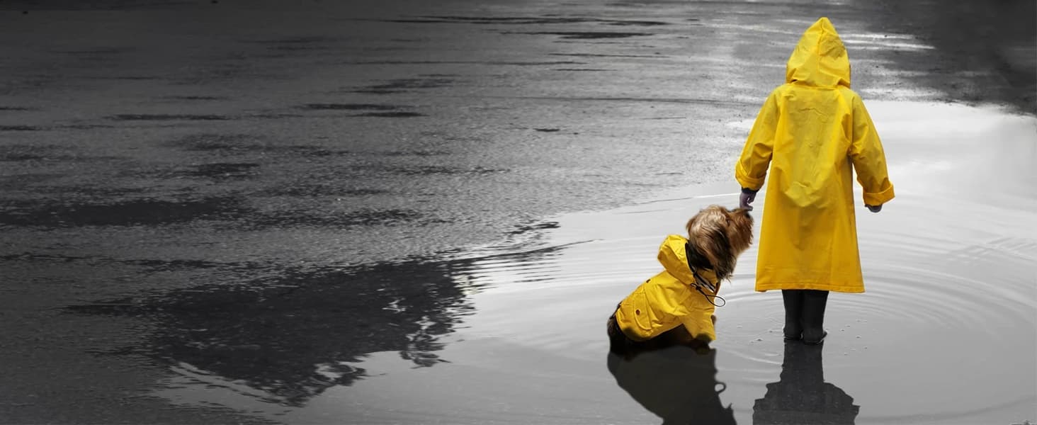 Dog Zip Up Raincoat with Reflective Buttons — Why Need to Pick Dog Coats with Legs ?
