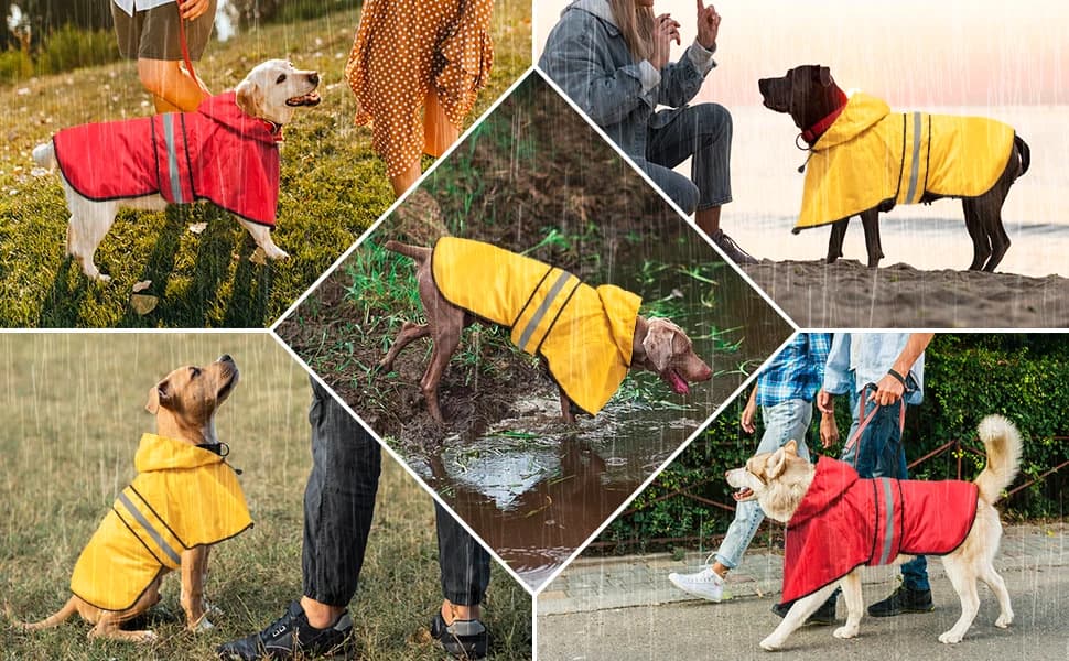 Waterproof Dog Raincoats - Hooded Raincoats for Dogs — EASY TO ORGANIZE and PACK