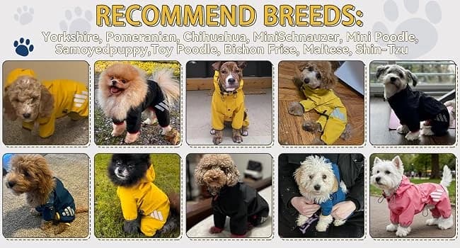 Dog Raincoat — Waterproof Dog Rain Jacket with Hood — product details