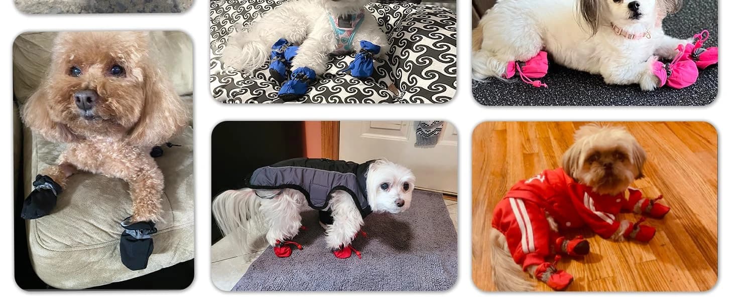 Dog Shoes for Small Dogs â Puppy Boots and Paw Protectors â product details
