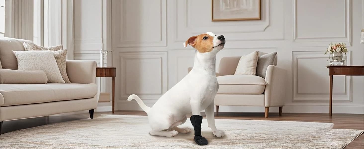 Dog Recovery Boot Wound Injured Paws Protector Dog Shoes — 2PCS — product details