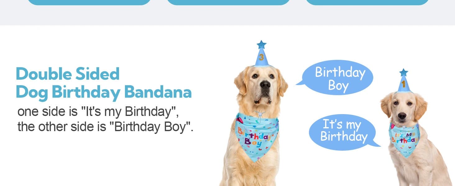 Dog Birthday Party Supplies — Dog Birthday Bandana — product details