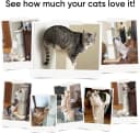 Cat Scratching Post for Indoor Cats — 32Inch Sisal Cat Scratcher