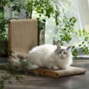 Cat Scratcher — 26.8 Inch L Shaped Cat Scratch Pad for Indoor Cats