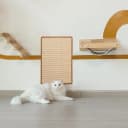 Cat Scratcher Mat — 23.6 X 15.7 Inch Natural Sisal Cat Scratch Mat