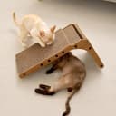 Cardboard Cat Scratcher for Indoor Cats — 26.8 Inch