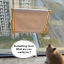 Foldable Cat Window Perch — Natural Wood