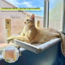 Foldable Cat Window Perch — Natural Wood