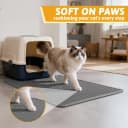 Litter Box Mat — Double-Layer Urineproof Design