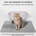Cat Litter Mat — Double Layer Cat Litter Box Mat (35x24 Inch