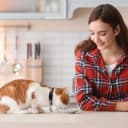 2PCS Breakaway Cat Collars with Bell Moons Stars Cute Kitty Adjustable Safe Kitten Collars with Pendant Glow in