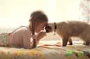 2PCS Breakaway Cat Collars with Bell Moons Stars Cute Kitty Adjustable Safe Kitten Collars with Pendant Glow in