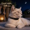 Breakaway Cat Collar with Bell for Kittens and Cats