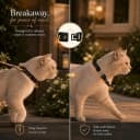 Breakaway Cat Collar with Bell for Kittens and Cats