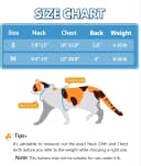 Cat Harness and Leash Set — Escape Proof Cat Harnesses