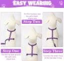 2 Pack Cat Harness and Leash with Collar Set