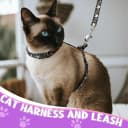 2 Pack Cat Harness and Leash with Collar Set