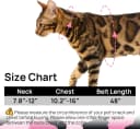 Adjustable Cat Harness and Leash Set — Escape Proof