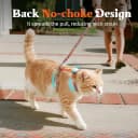 Cat Harness and Leash Set — Adjustable Pet Straps