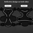Cat Chest Harness and Leash Set Adjustable Anti-Escape Soft Mesh Cat Vest for Walking Outdoor(Blcak