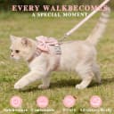 Pink Bow Cat Harness and Leash Set — Escape Proof