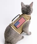 Cat Harness and Leash Set for Walking Escape Proof — Khaki