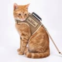 Cat Harness and Leash Set for Walking Escape Proof — Khaki
