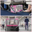 Pet Carrier for Large Cats of 20 Lbs