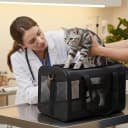 Cat Carrier Soft-Sided Pets Travel Carriers up to 15 Lbs