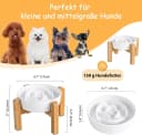Elevated Slow Feeder Dog Bowl
