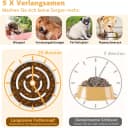 Elevated Slow Feeder Dog Bowl