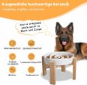 Elevated Slow Feeder Dog Bowl