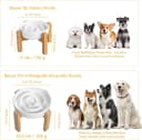 Elevated Slow Feeder Dog Bowl