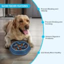 Slow Feeder Dog Bowl — Anti-Chocking Slower Feeding Pet Puzzle Bowls
