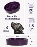 Dog Bowls Slow Feeder Ceramic — 1.5 Cup Slow Feeding Bowl for Small and Medium Breed